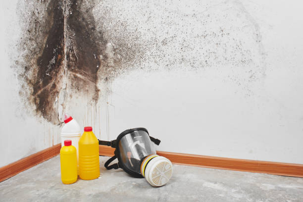 Best Crawl Space Mold Removal  in Edgefield, SC