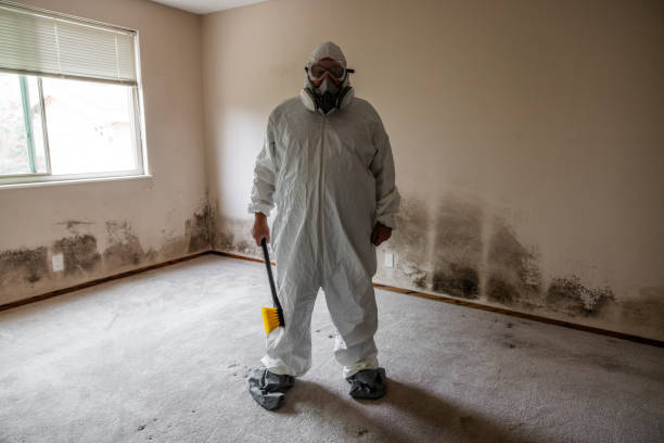 Best Crawl Space Mold Removal  in Edgefield, SC