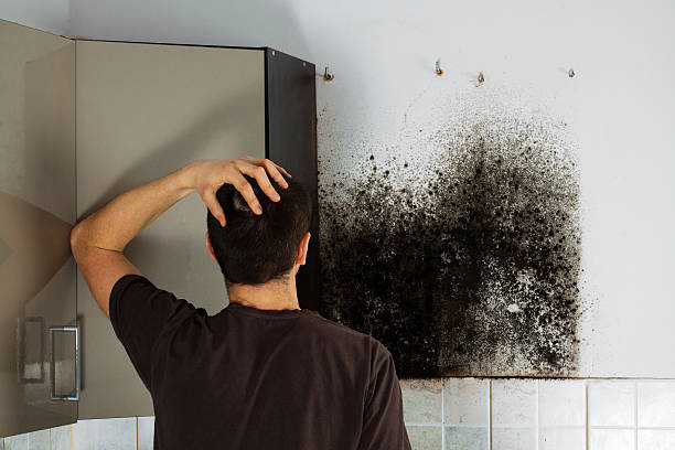 Best Mold Cleaning Services  in Edgefield, SC